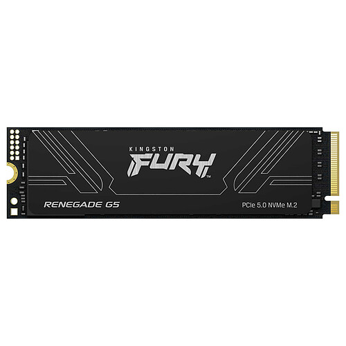 Kingston FURY Renegade G5 1 To